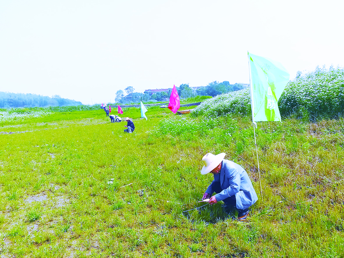 贵池区卫生健康委：血防健康扶贫在行动