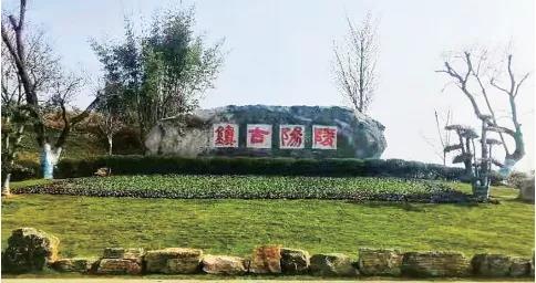 奋力追梦新时代 富贵陵阳谱新章