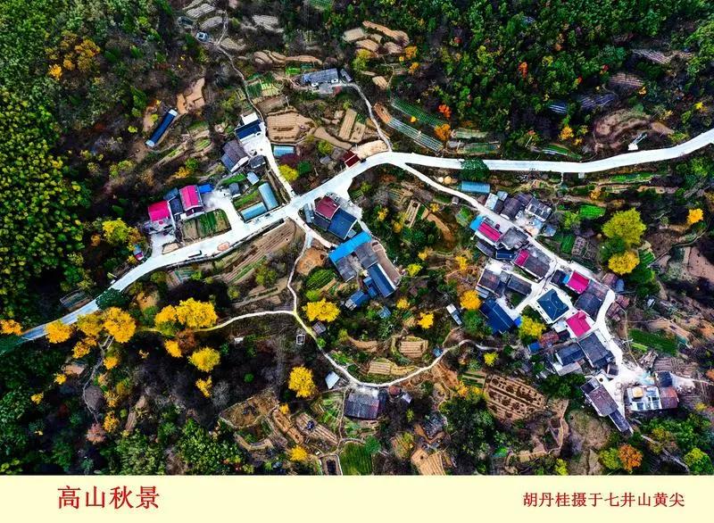 绘就景美业旺民富人和的时代画卷——“十三五”我市农业农村工作高质量发展纪实