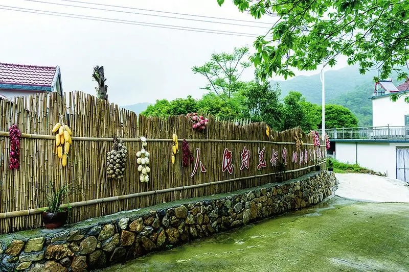 梅村镇：以红色底蕴和绿色生态构建全域旅游新格局