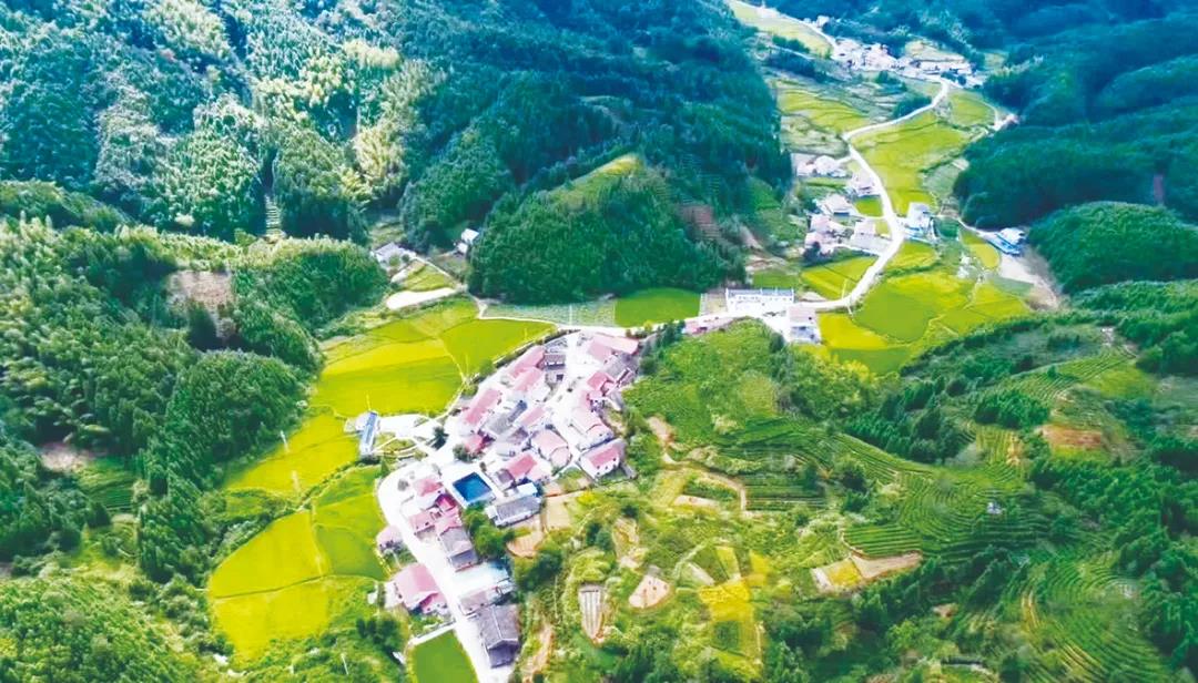 中国电信池州分公司：“数字乡村”助力大田村乡村振兴