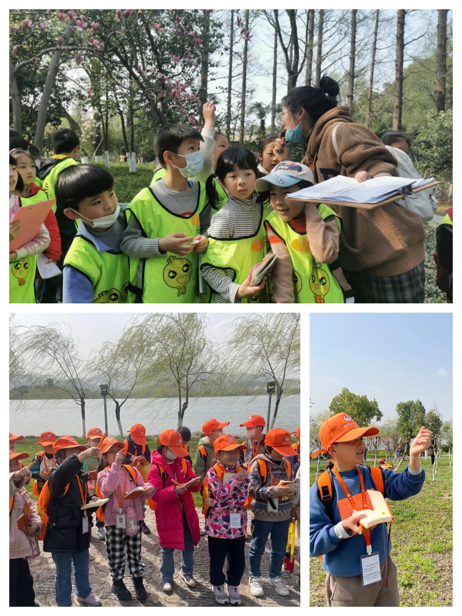 小记者户外写作 | 青阳县第三小学小记者走进芙蓉湖公园
