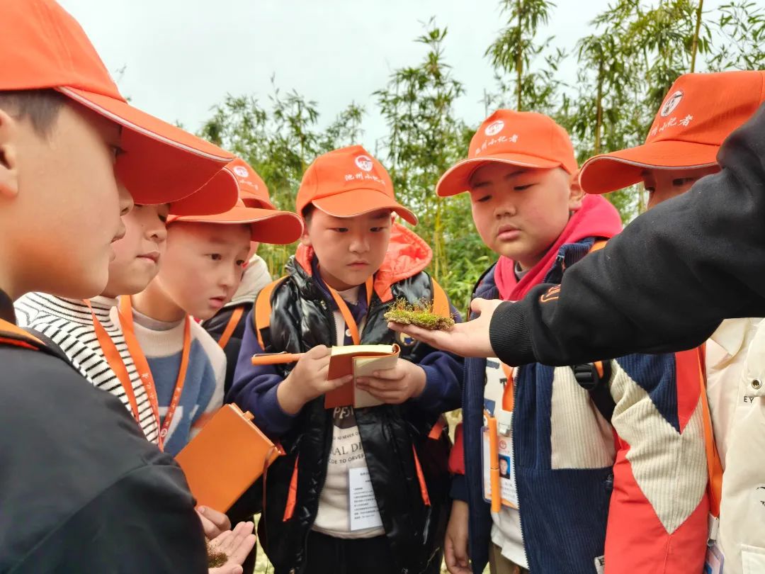 寻“藓”记，探索奇妙的苔藓世界 | 贵池区城西小学、城关小学的小记者们走进天堂湖公园