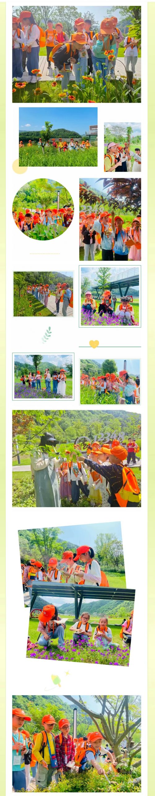 草长莺飞季，游学正当时 | 石台县实验小学小记者走进白鹭湾公园