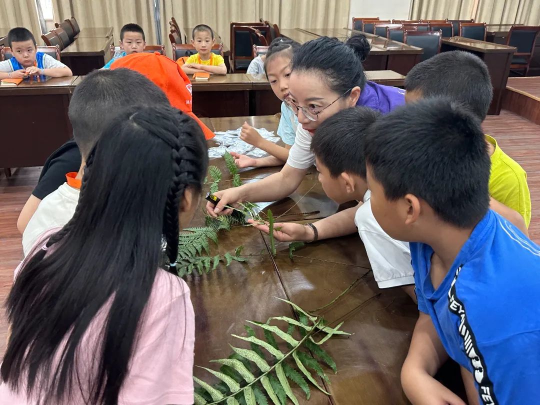 蕨类植物的秘密生活 | 贵池区新城明珠小学的小记者们走进池州市科技馆