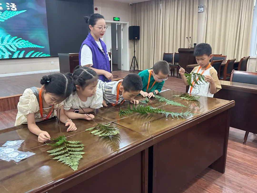 蕨类植物的秘密生活 | 贵池区新城明珠小学的小记者们走进池州市科技馆