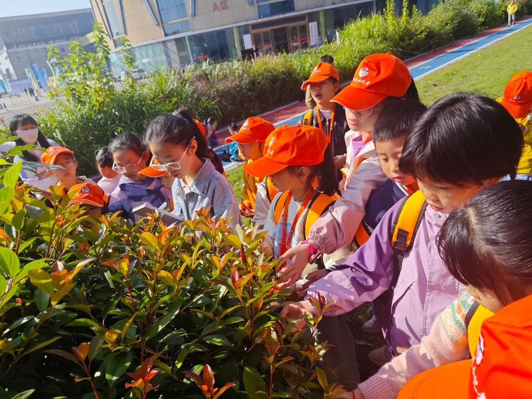 以叶子为主题的自然探索 | 小记者走进池州生态湿地公园